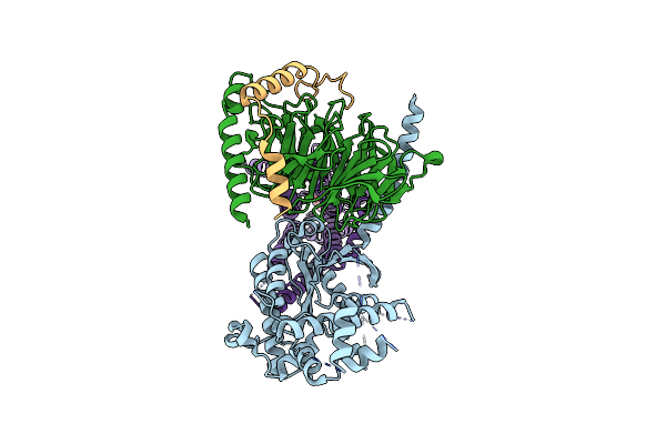 8GEG image