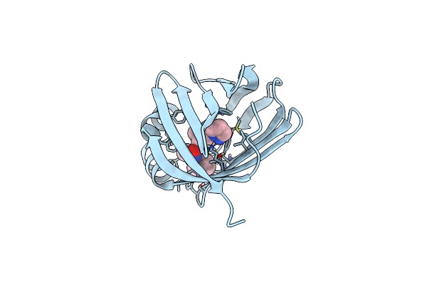 8GEM image