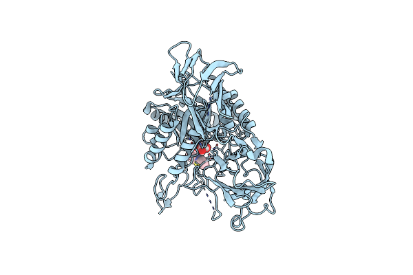 8GER image