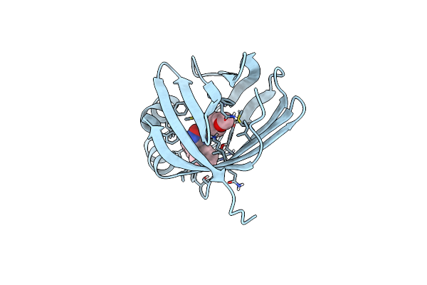 8GEV image