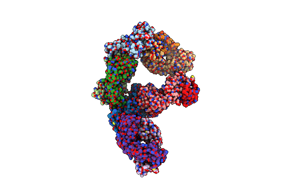 8GF2 image