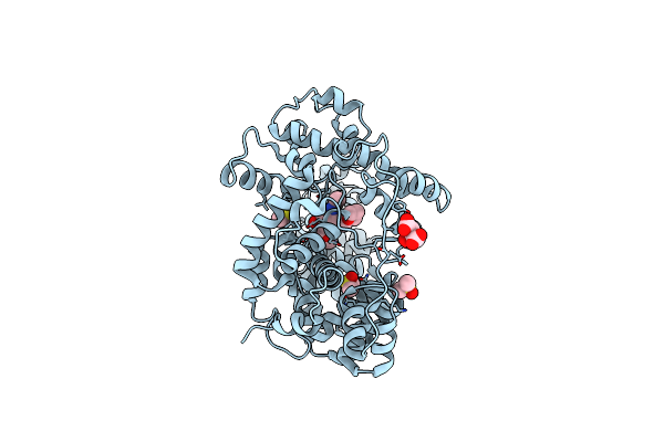 8GFB image