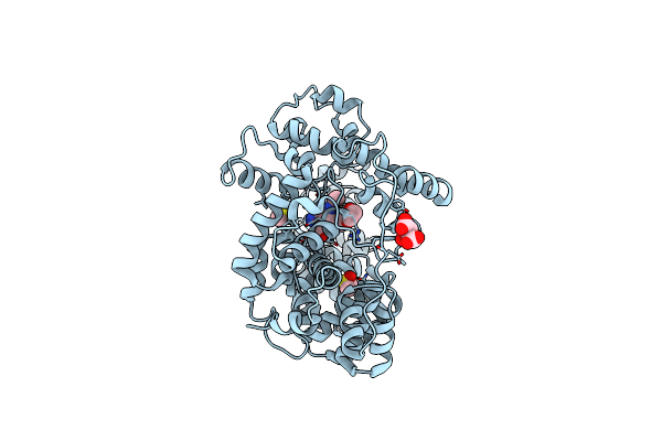 8GFC image