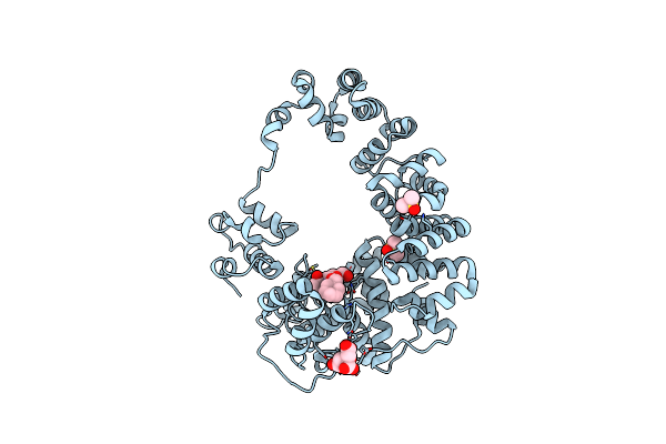 8GFF image