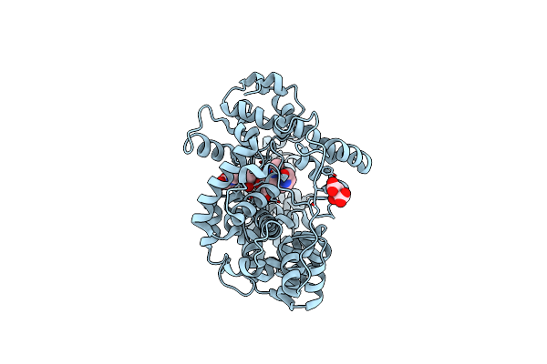 8GFH image