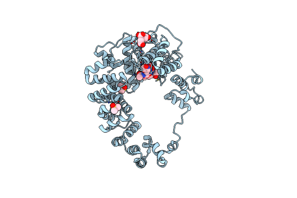 8GFL image