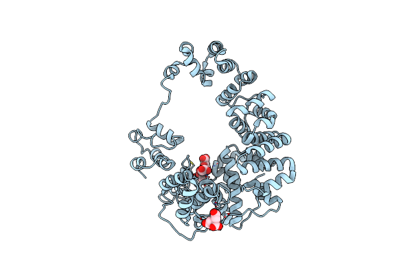 8GFM image