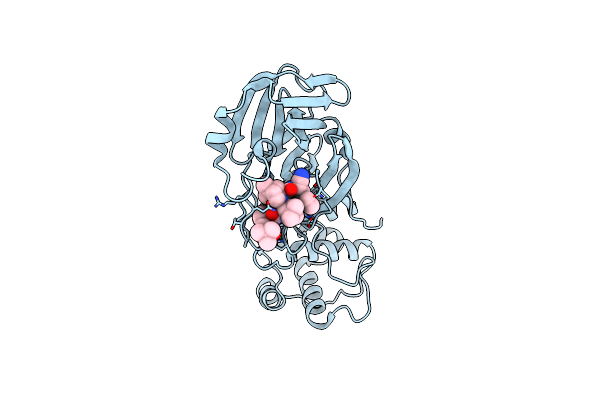 8GFR image