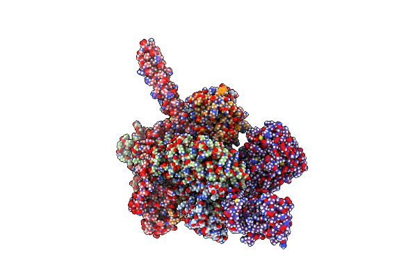 8GFT image