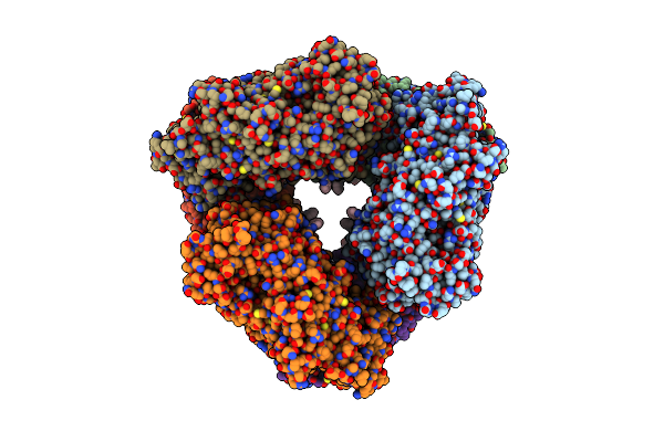 8GHD image