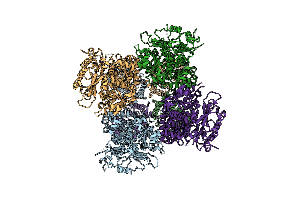 8GHG image