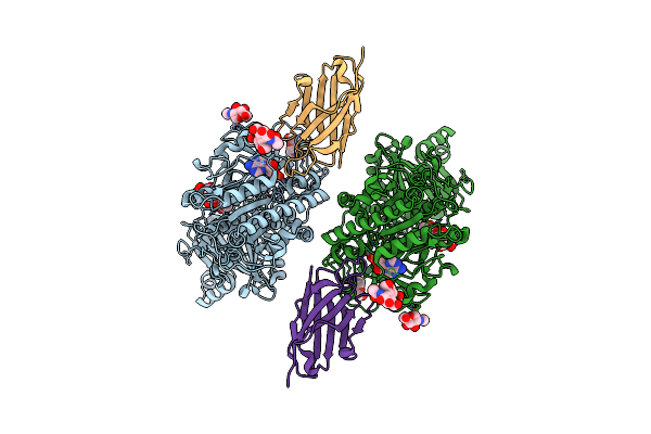 8GHR image