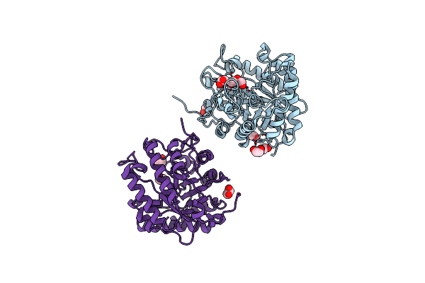 8GHX image