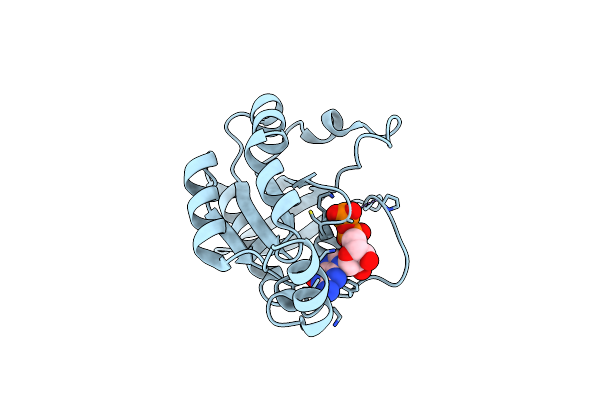 8GI3 image
