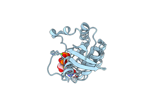 8GI6 image