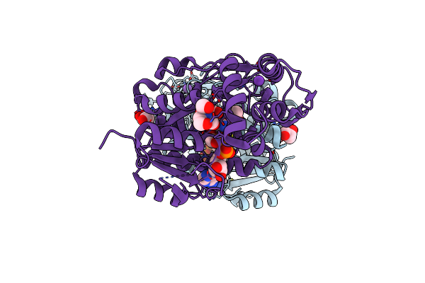 8GJB image