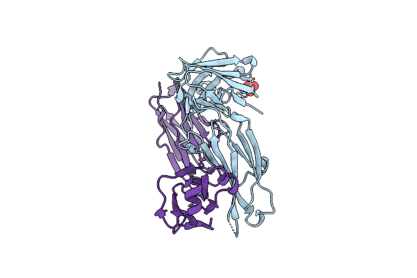 8GKK image