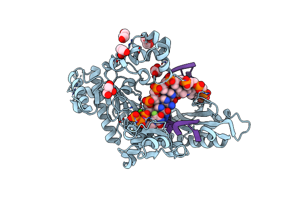 8GKR image