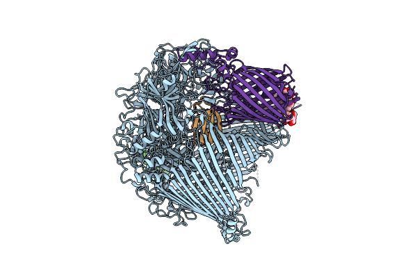 8GL6 image