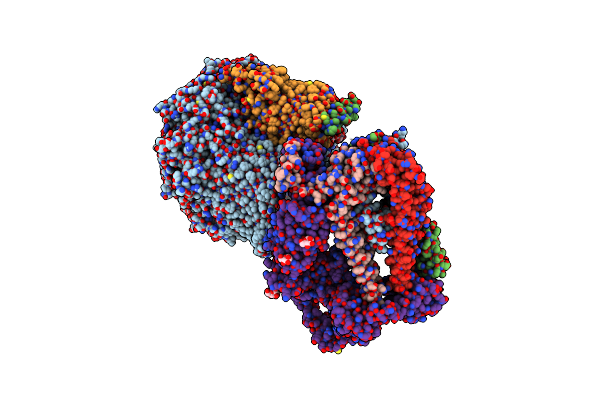 8GL8 image