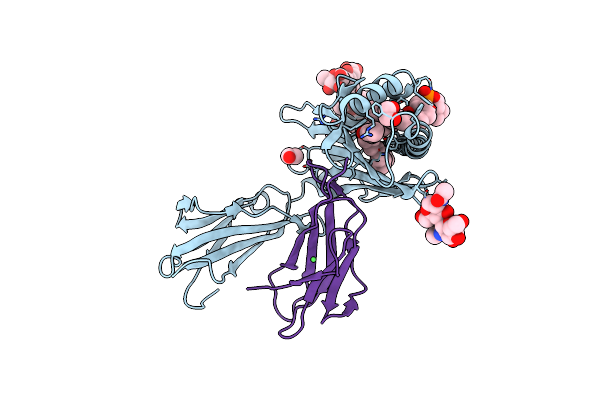 8GLF image