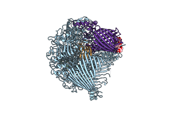 8GLK image