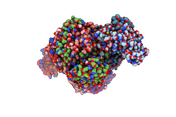 8GLL image
