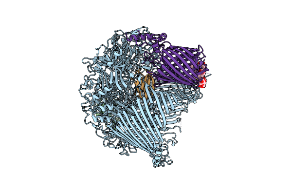 8GLN image