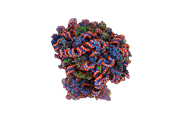 8GLP image