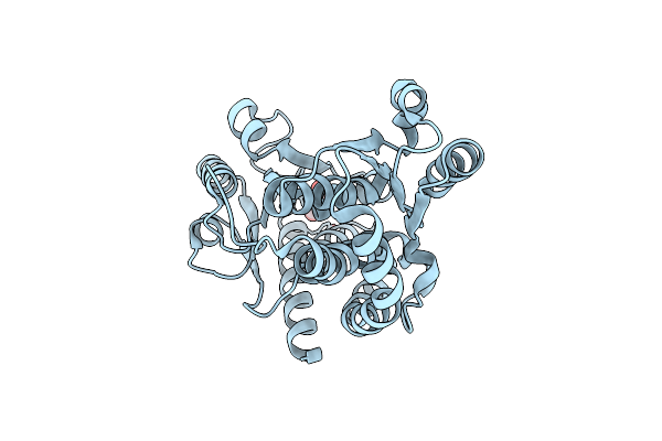 8GLR image