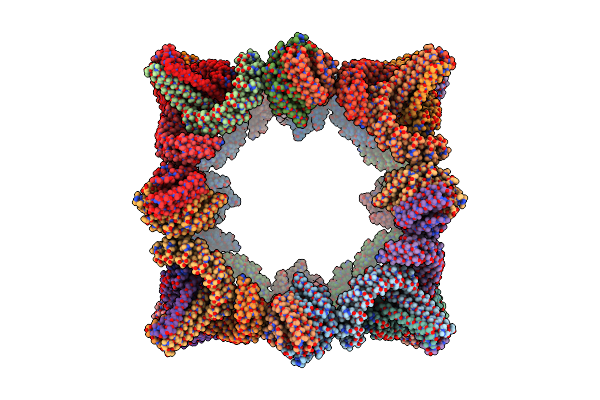 8GLT image