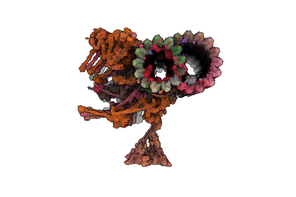 8GLV image