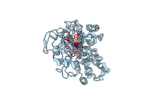 8GLZ image
