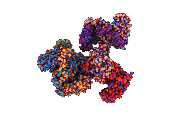 8GMF image