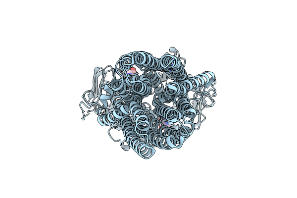 8GMJ image