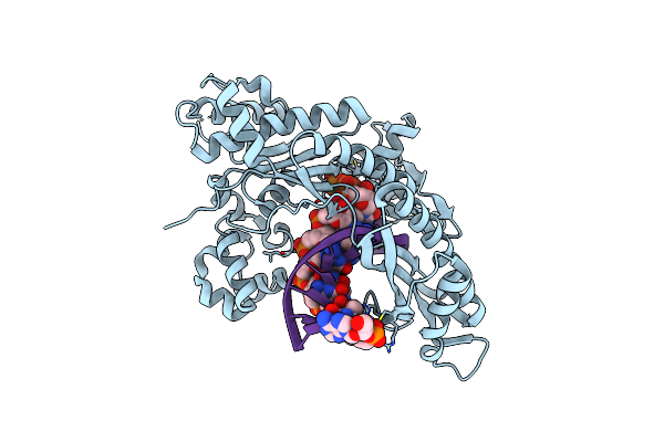 8GML image