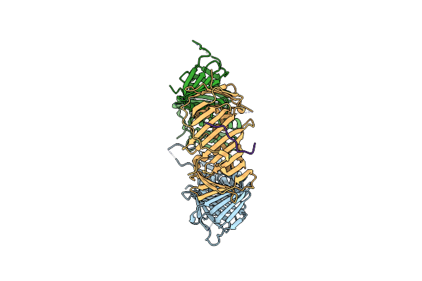 8GNN image