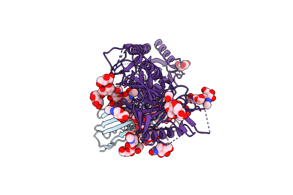 8GP5 image
