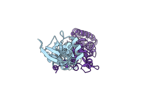 8GP6 image