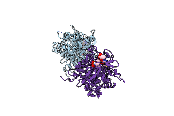8GPW image