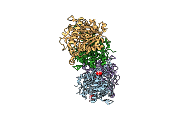 8GQF image