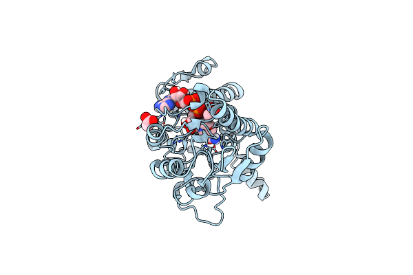 8GRV image