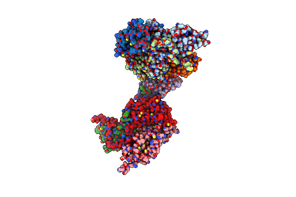 8GSF image