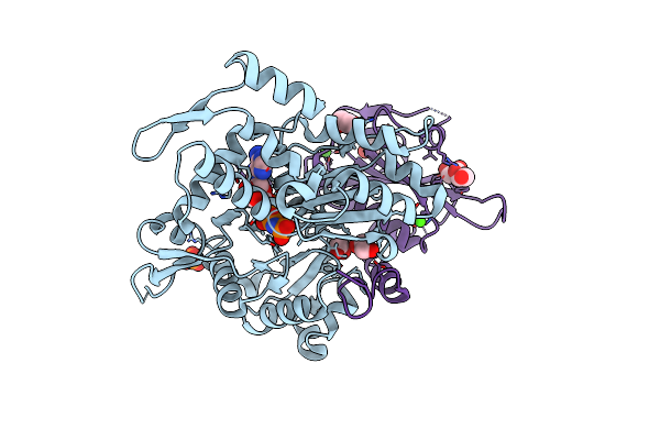 8GSW image