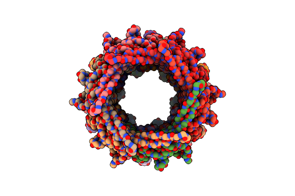 8GTF image