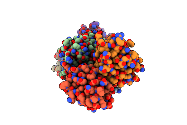 8GTH image