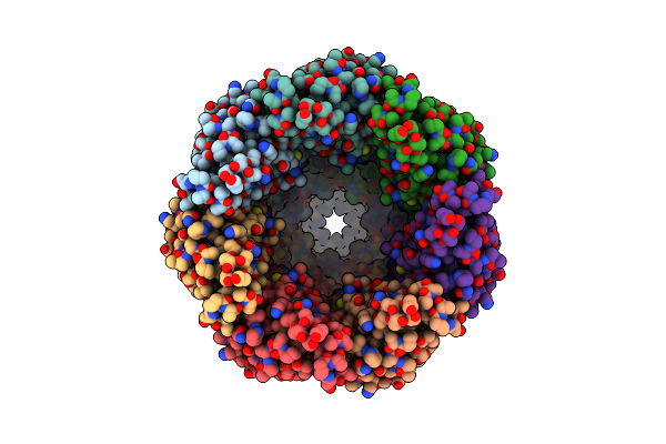 8GTT image