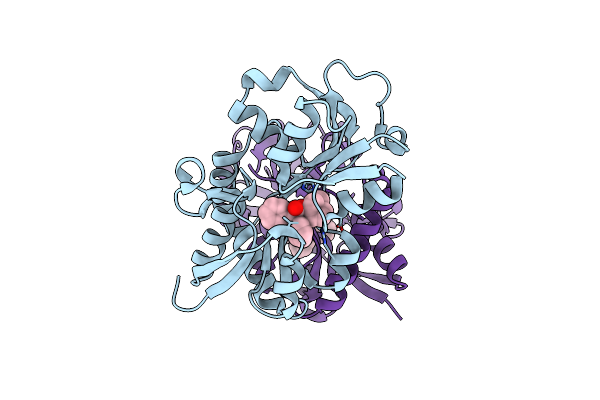 8GTU image
