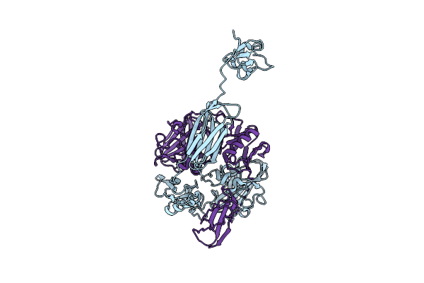 8GUM image