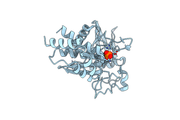 8GVV image